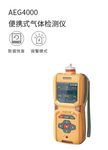 AEG4000便攜式氣體檢測儀