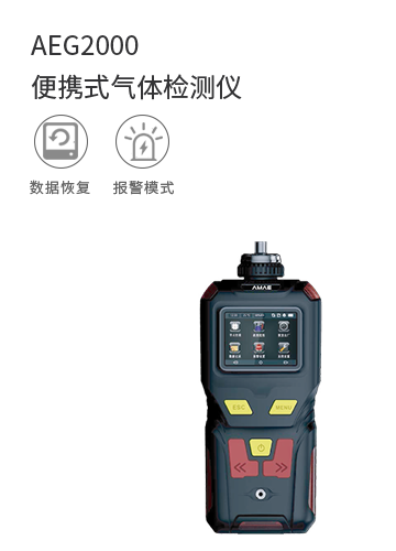 AEG2000便攜式氣體檢測儀